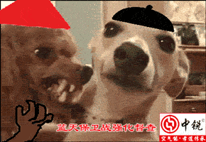 空氣能在強(qiáng)化督查的推動(dòng)下，應(yīng)用廣泛備受矚目