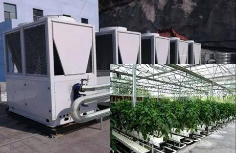 農業(yè)大棚采暖有新招，空氣源熱泵再獲佳話